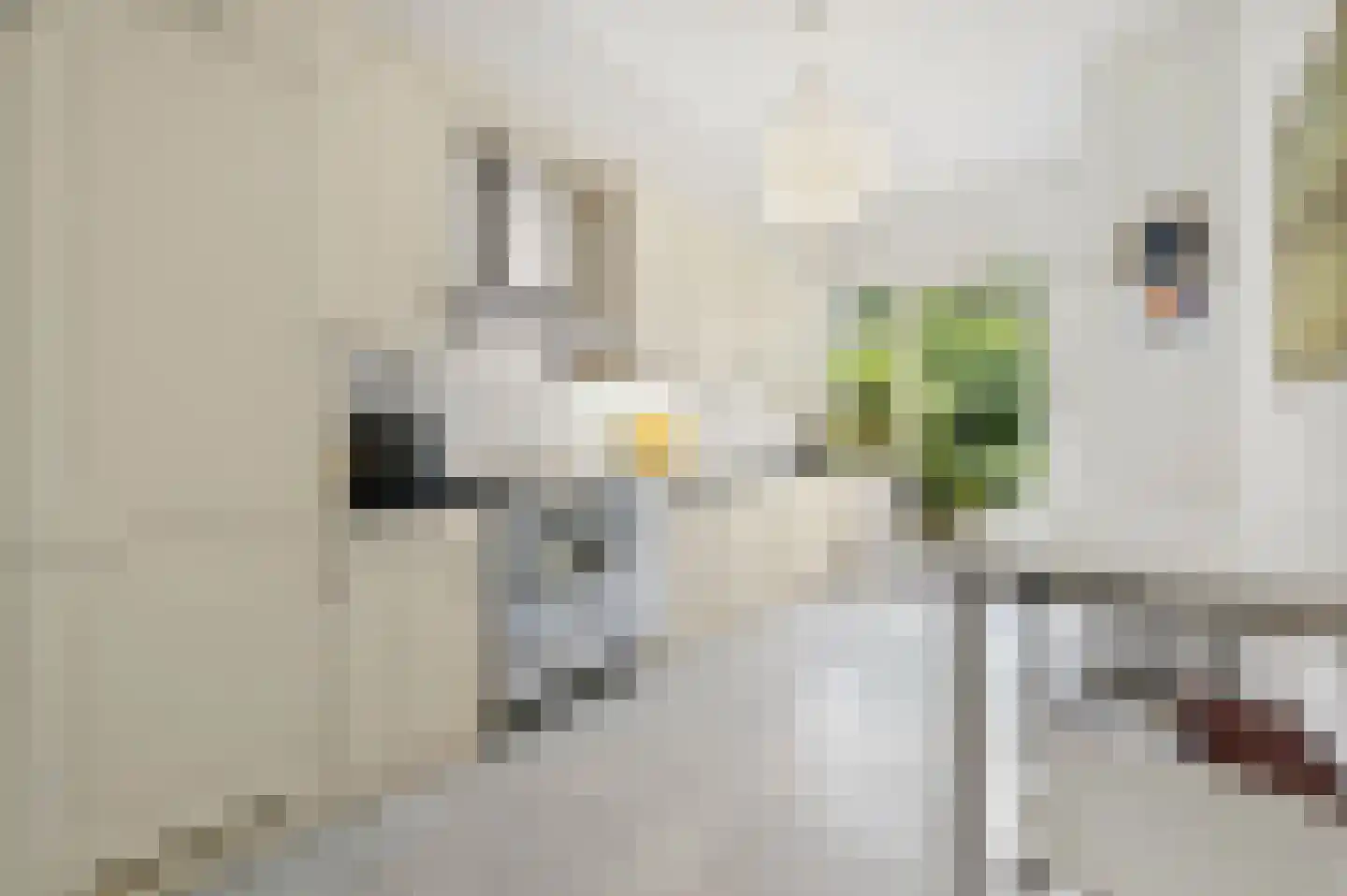 2e Louise de Colignystraat 83 Den Haag thumbnail 24