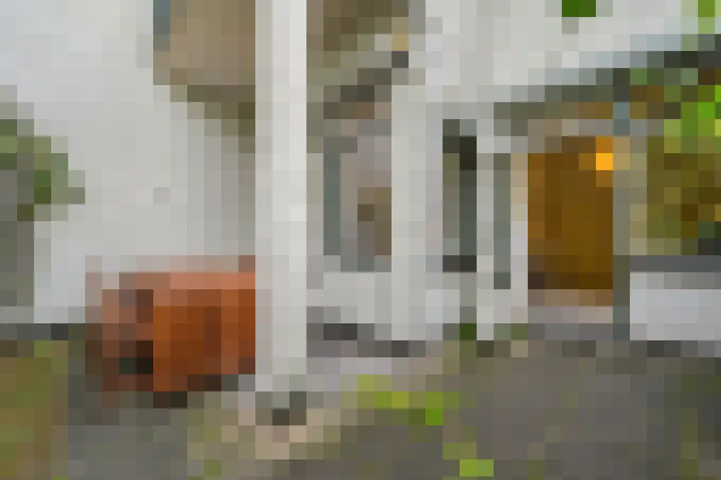 2e Louise de Colignystraat 83 Den Haag thumbnail 26