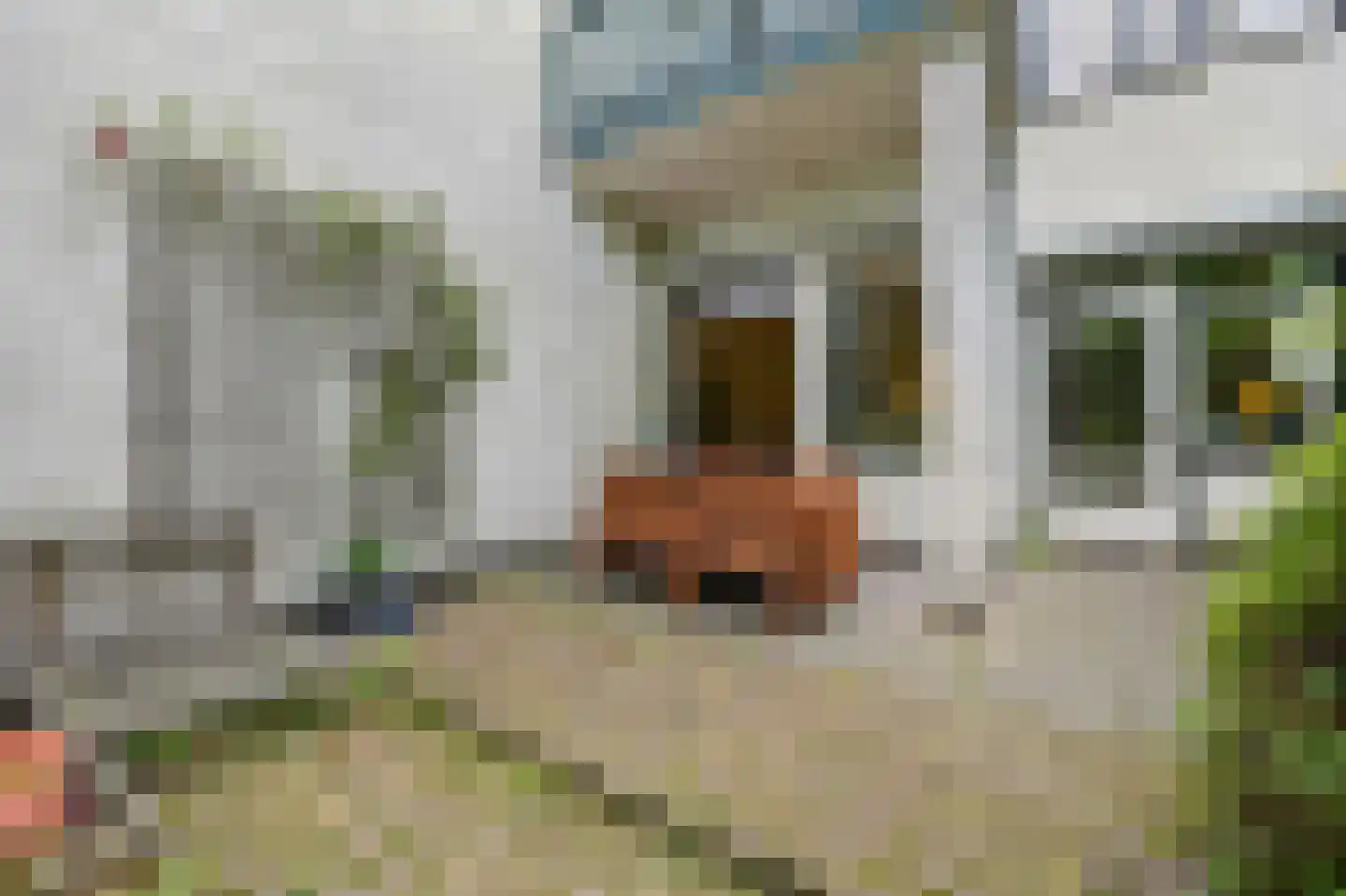 2e Louise de Colignystraat 83 Den Haag thumbnail 28