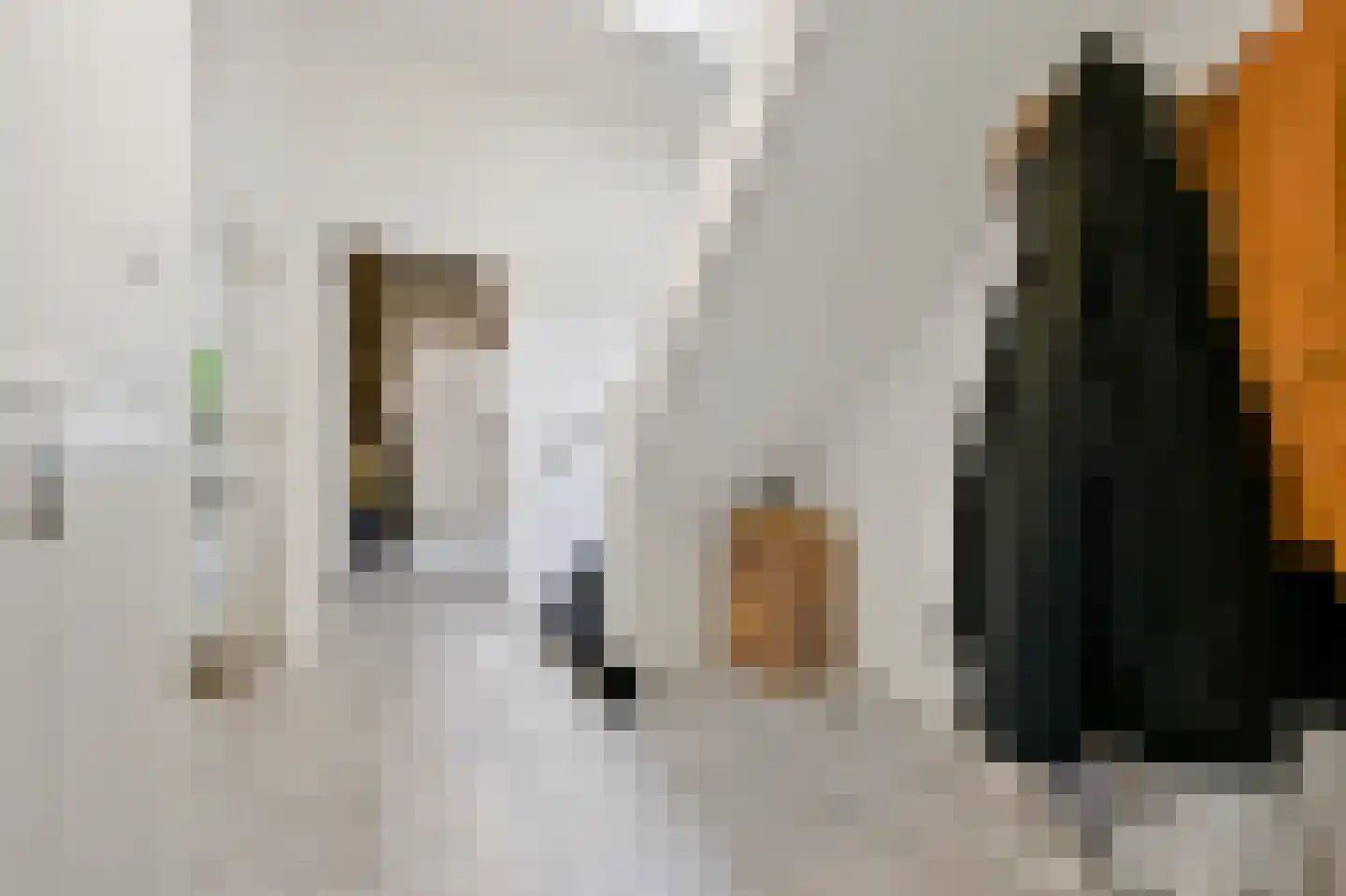 2e Louise de Colignystraat 83 Den Haag thumbnail 32