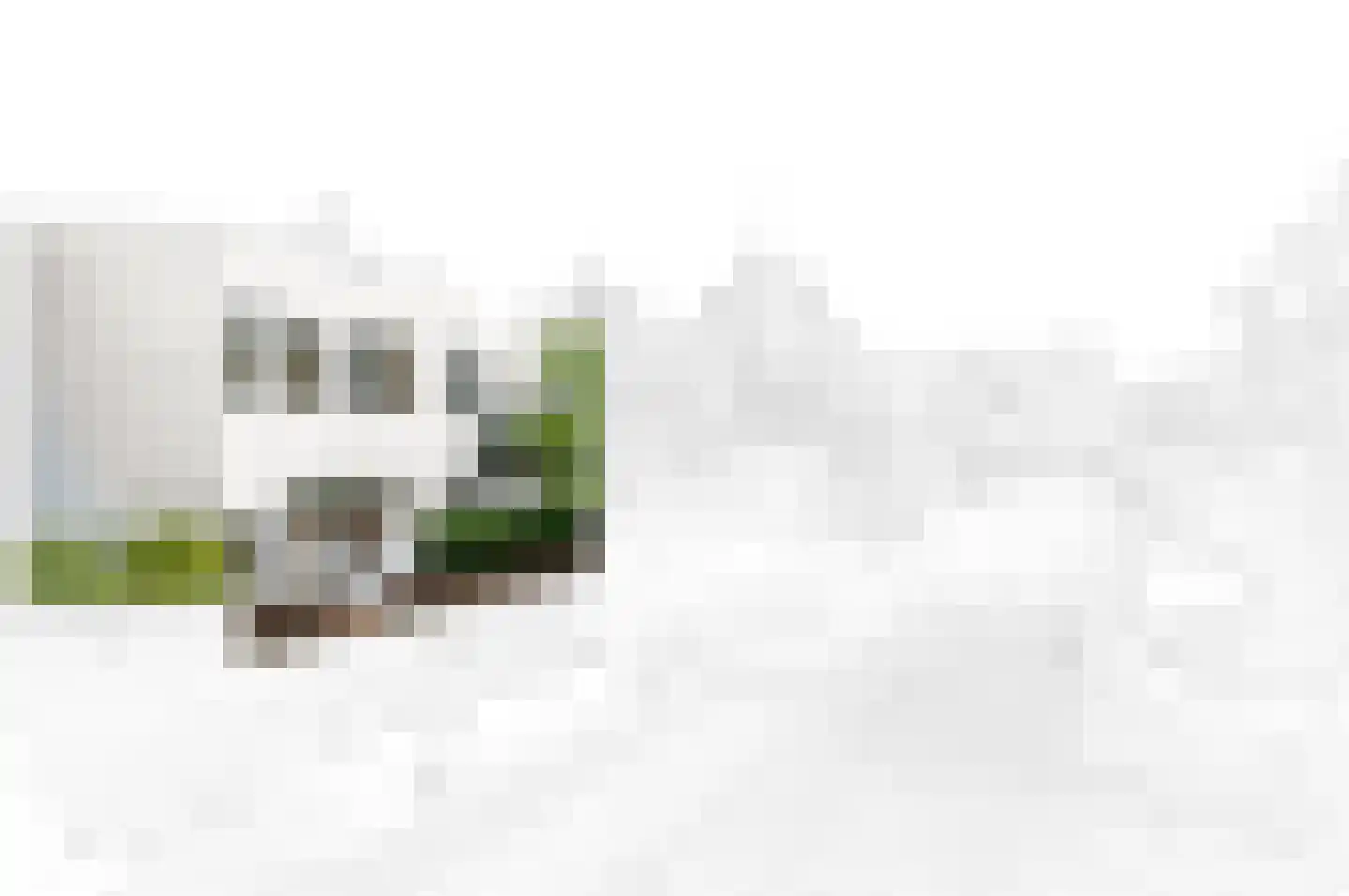 2e Louise de Colignystraat 83 Den Haag thumbnail 6