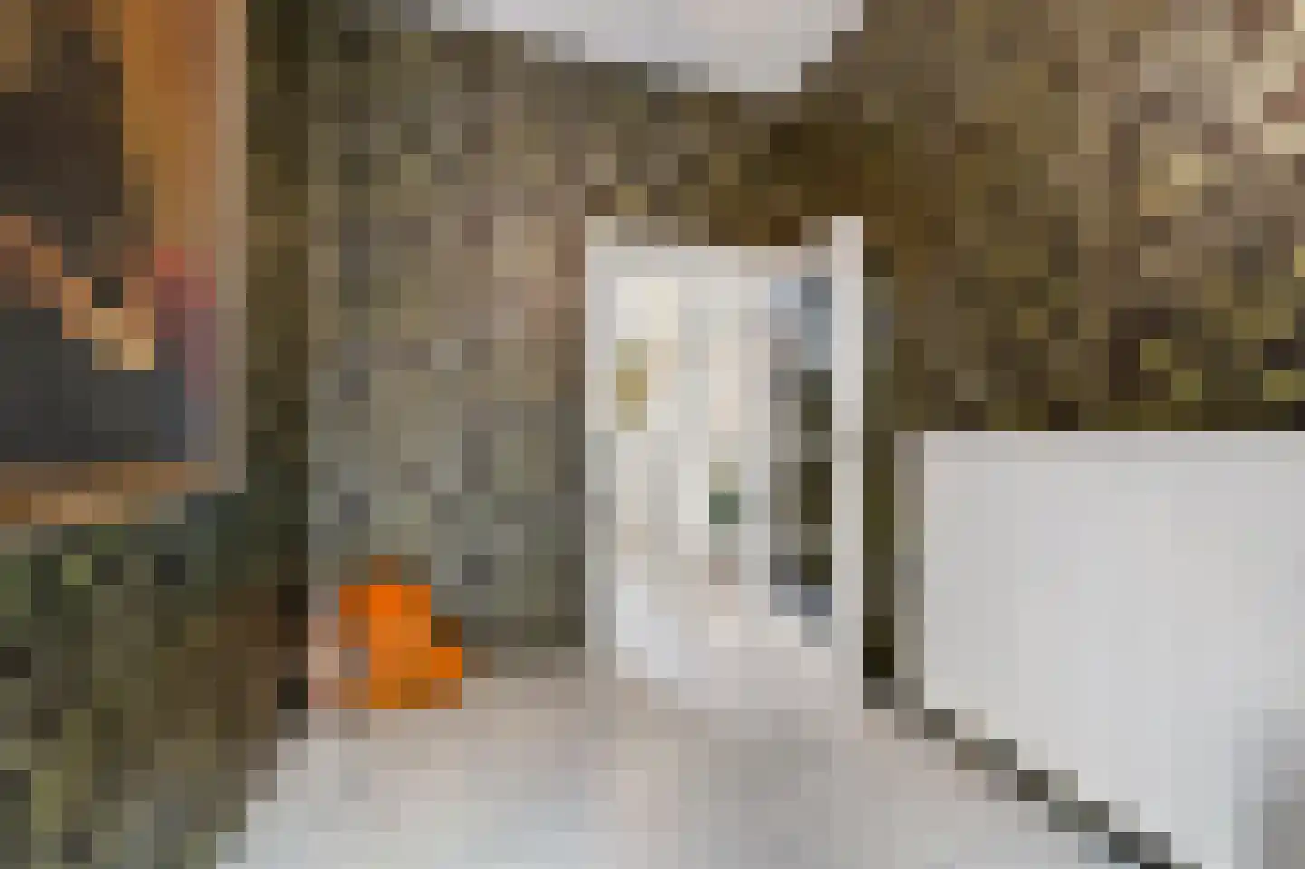 2e Louise de Colignystraat 83 Den Haag thumbnail 8