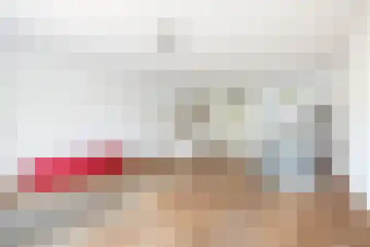 2e Lunarelaan 3 Capelle aan den IJssel thumbnail 12