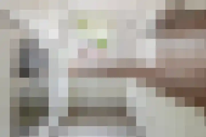 2e Lunarelaan 3 Capelle aan den IJssel thumbnail 16