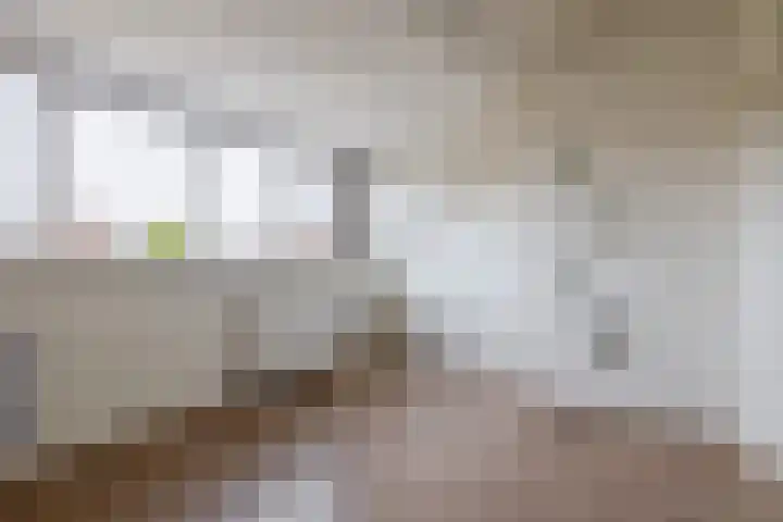 2e Lunarelaan 3 Capelle aan den IJssel thumbnail 34
