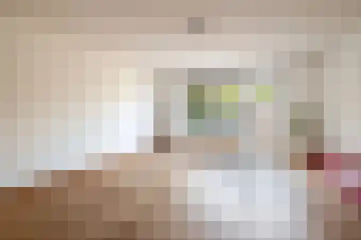 2e Lunarelaan 3 Capelle aan den IJssel thumbnail 9