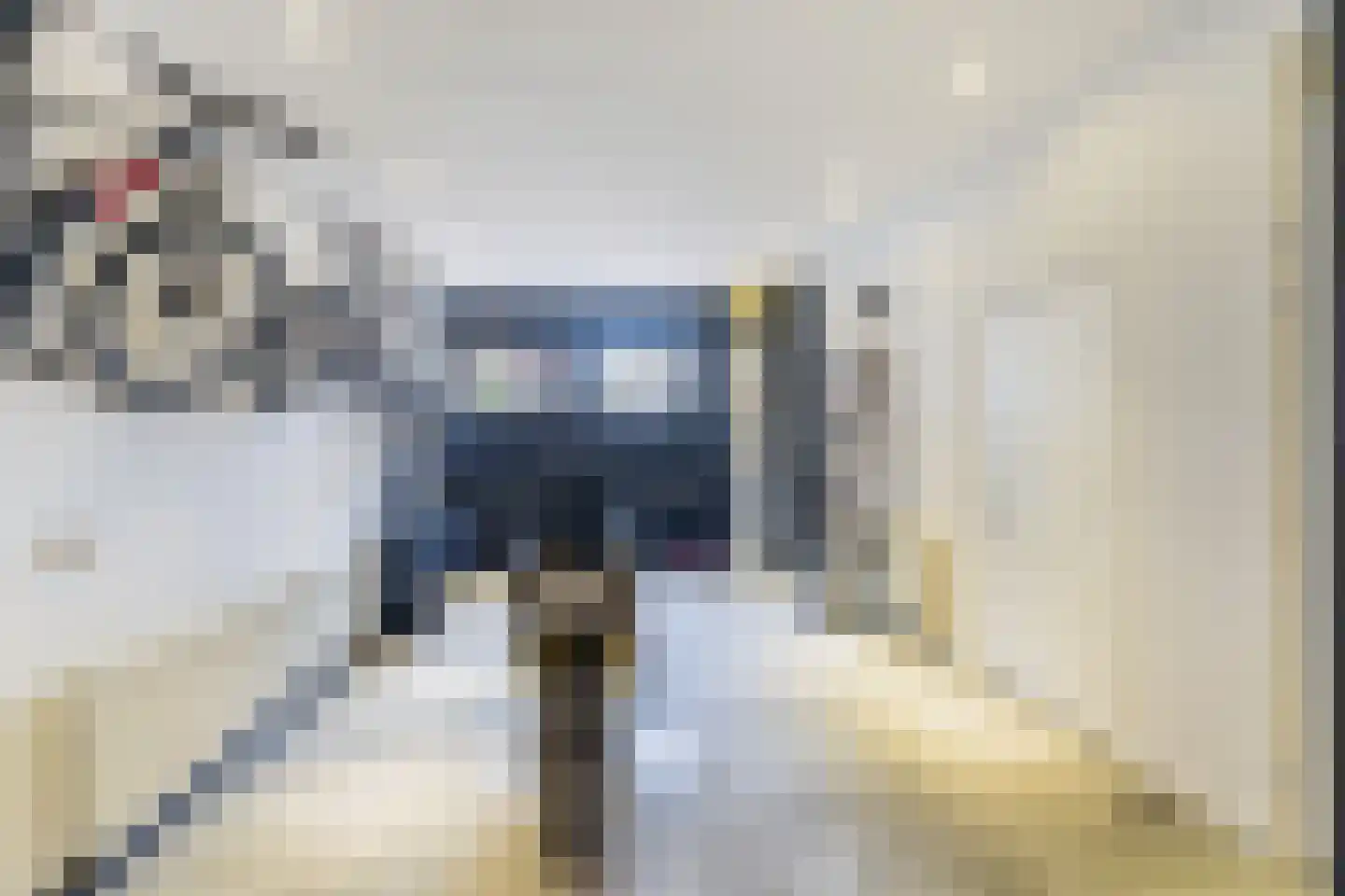 2e Maasbosstraat 46 Vlaardingen thumbnail 10