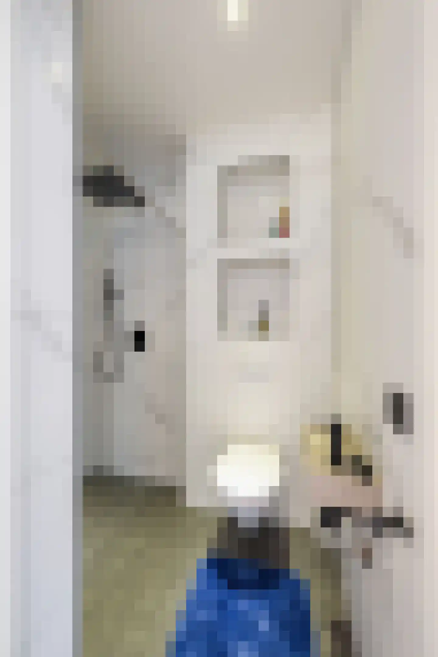 2e Maasbosstraat 46 Vlaardingen thumbnail 34