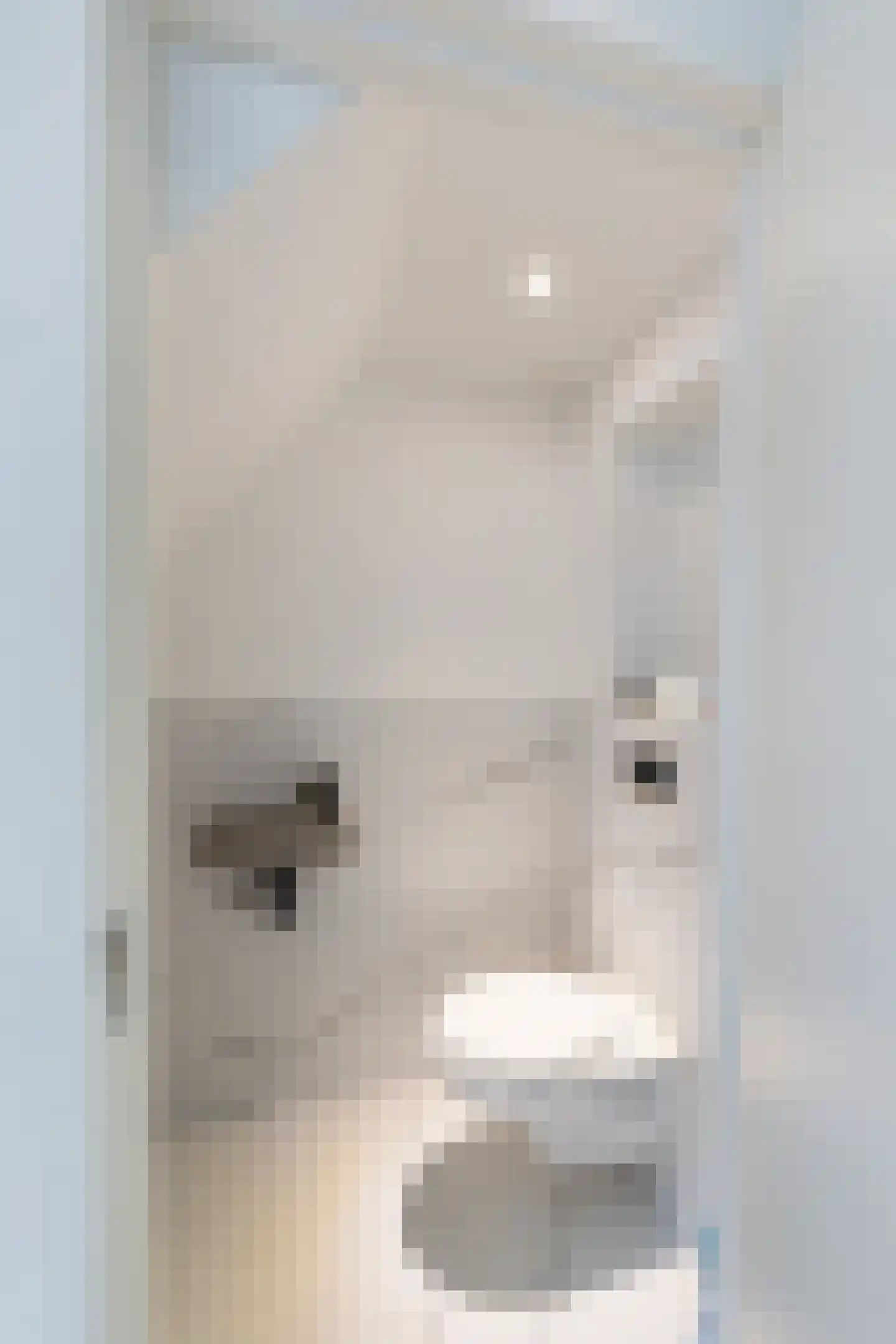 2e Maasbosstraat 46 Vlaardingen thumbnail 8