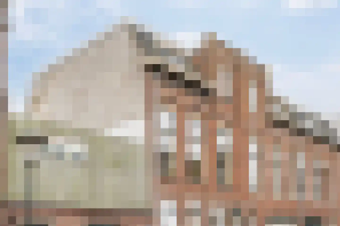 2e Maasbosstraat 94 Vlaardingen thumbnail 32