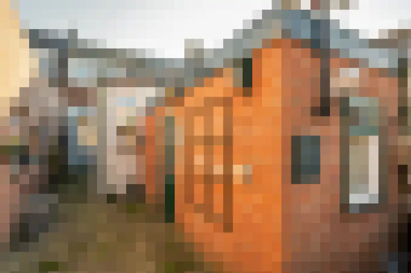 2e Maasveldstraat 7 Venlo thumbnail 24