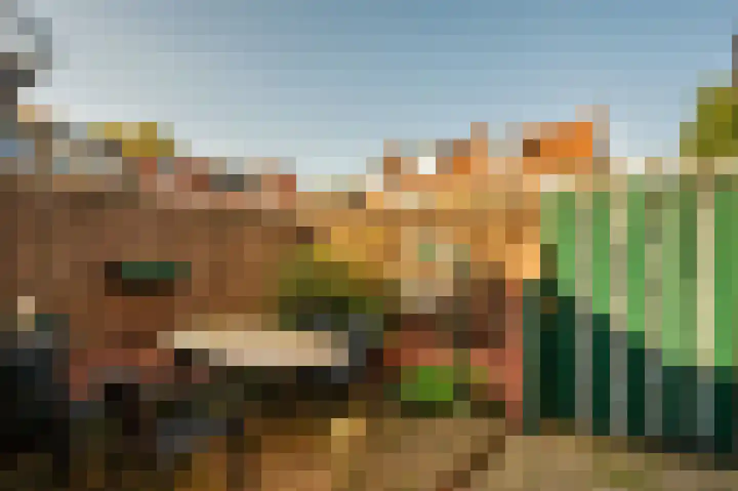 2e Maasveldstraat 7 Venlo thumbnail 26