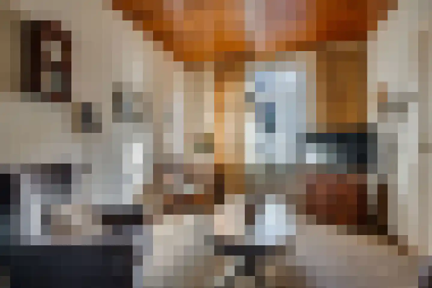 2e Maasveldstraat 7 Venlo thumbnail 5