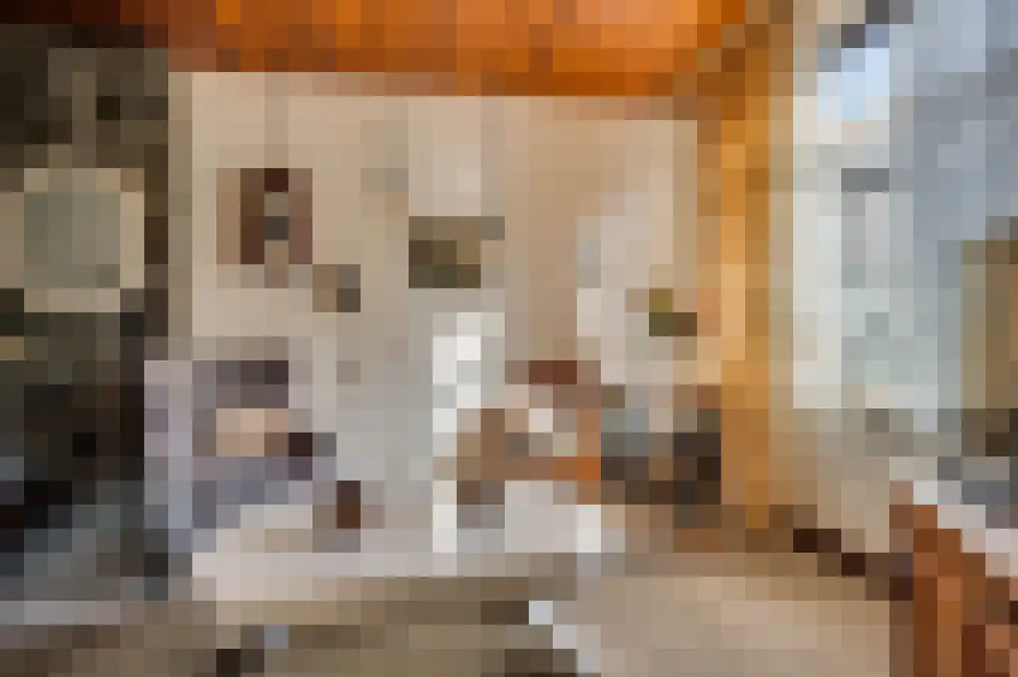 2e Maasveldstraat 7 Venlo thumbnail 6