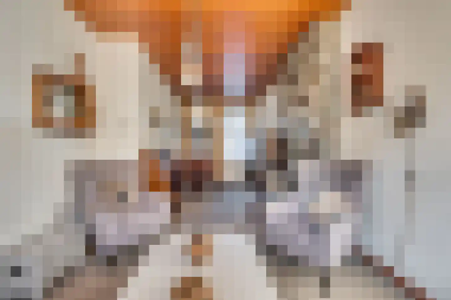 2e Maasveldstraat 7 Venlo thumbnail 7