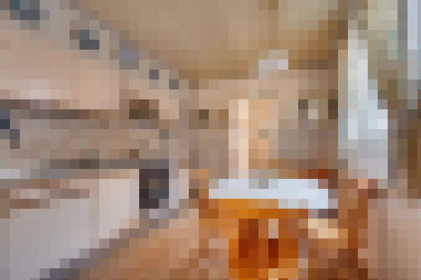 2e Maasveldstraat 7 Venlo thumbnail 9