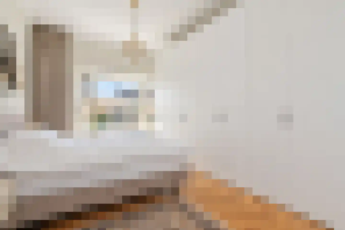 2e Messstraat 116 Den Haag thumbnail 49
