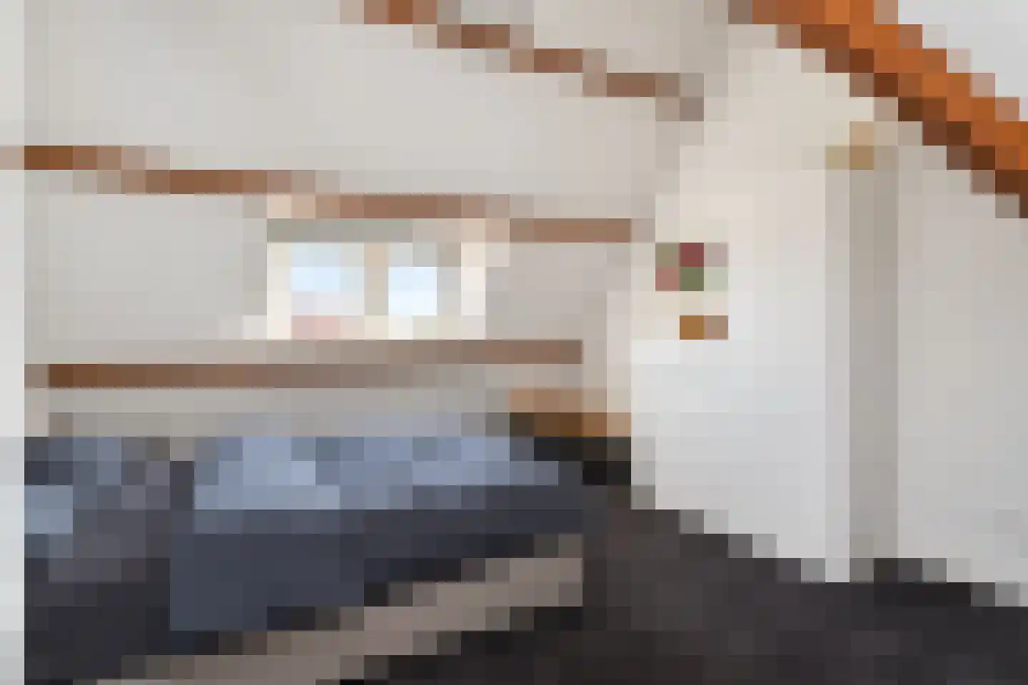 2e Messstraat 116 Den Haag thumbnail 55