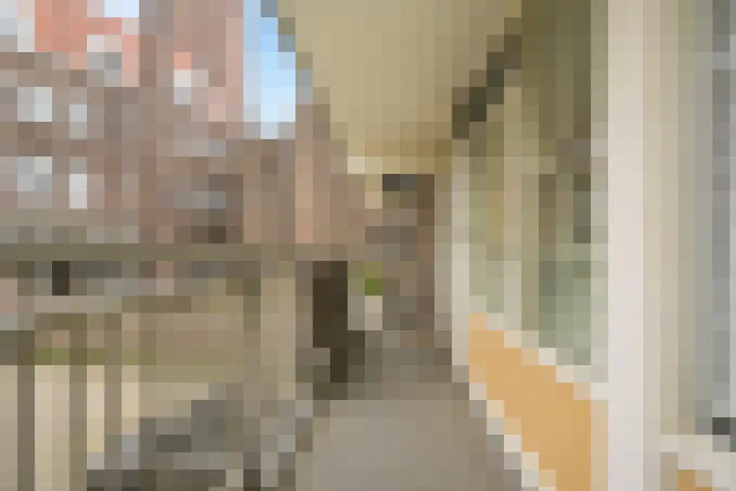 2e Messstraat 22 Den Haag thumbnail 16
