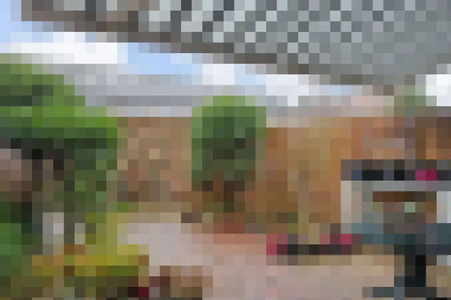 2e Messstraat 31 M Den Haag thumbnail 21