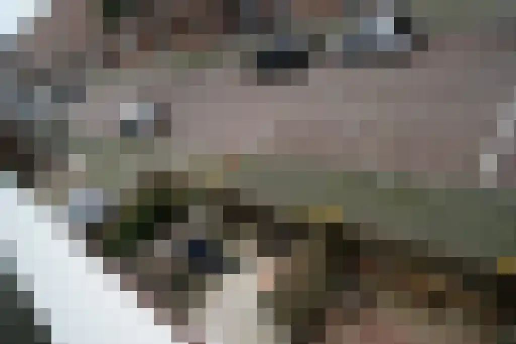 2e Messstraat 36 Den Haag thumbnail 12
