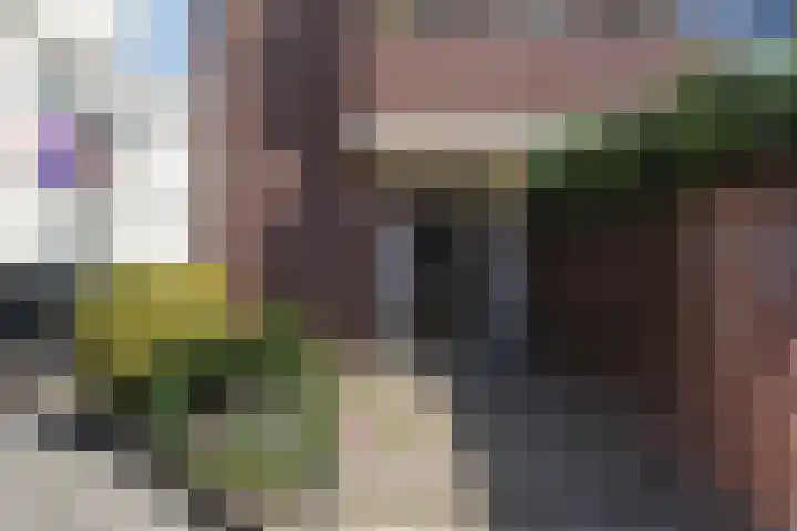 2e Messstraat 64 Den Haag thumbnail 25