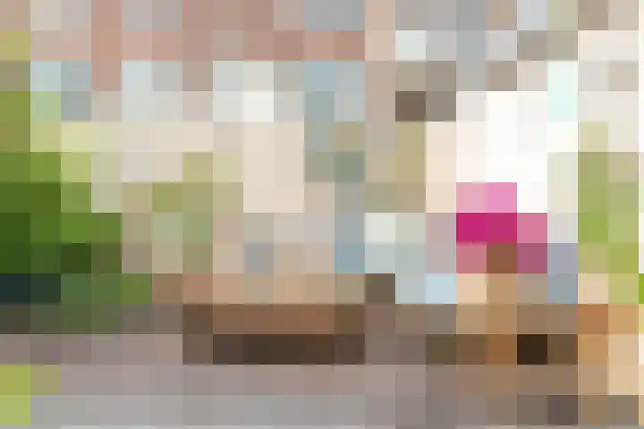 2e Messstraat 7 Den Haag thumbnail 18