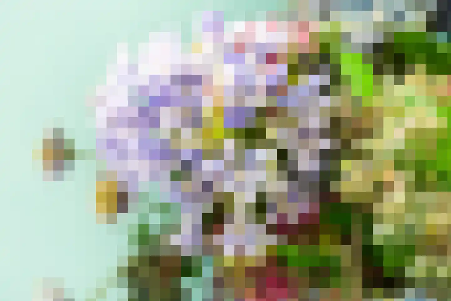 2e Octaviolaan 1 Capelle aan den IJssel thumbnail 20