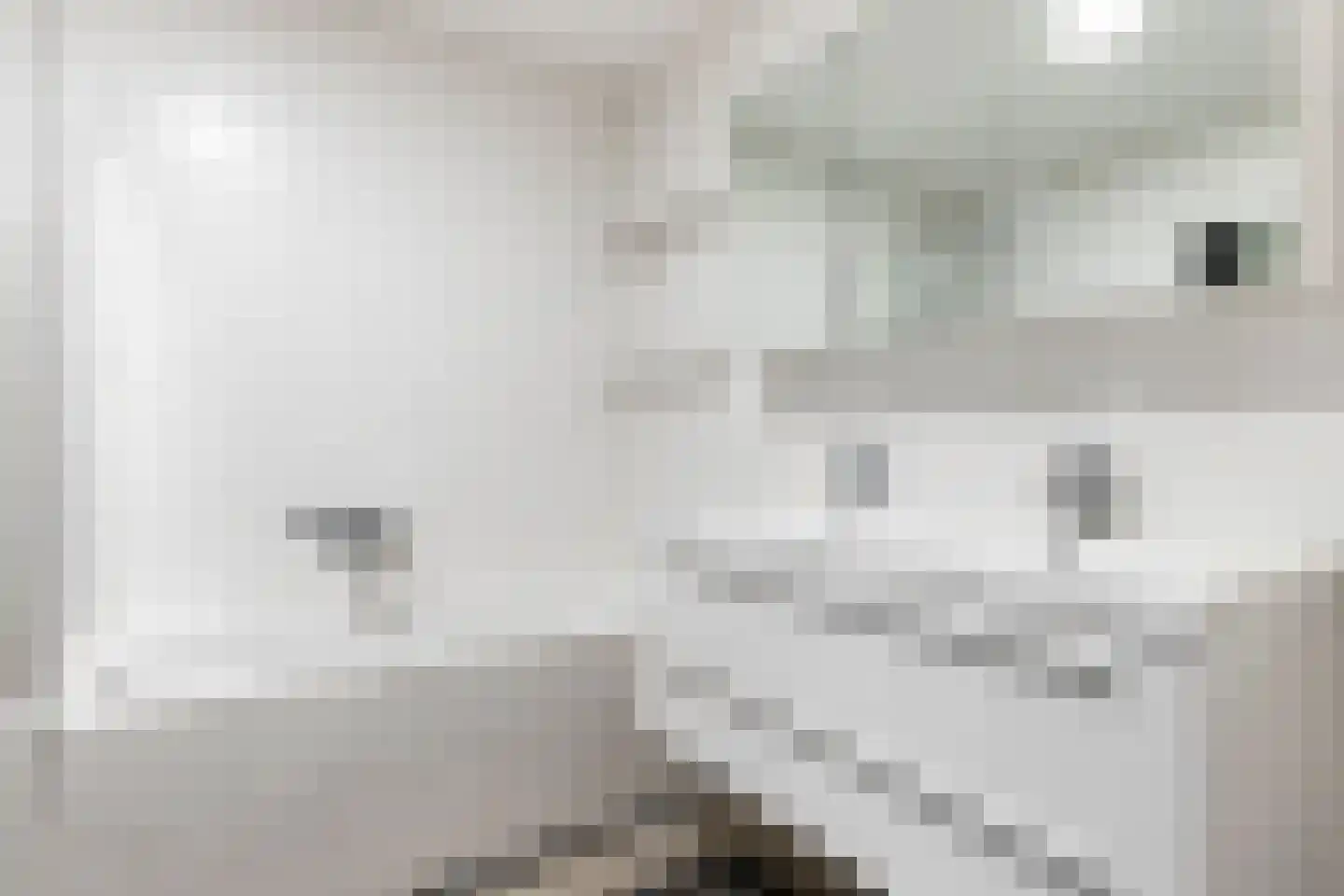 2e Octaviolaan 1 Capelle aan den IJssel thumbnail 36