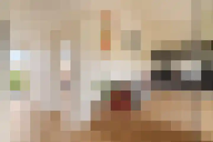 2e Octaviolaan 15 Capelle aan den IJssel thumbnail 10