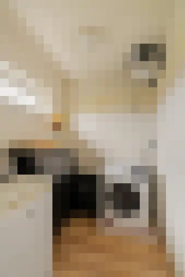 2e Octaviolaan 15 Capelle aan den IJssel thumbnail 12