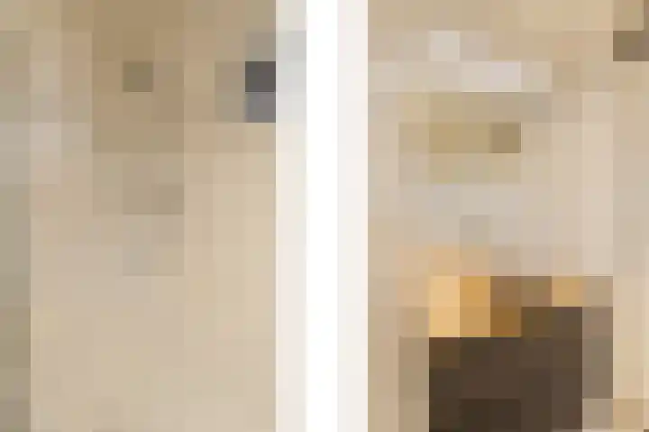 2e Octaviolaan 15 Capelle aan den IJssel thumbnail 15