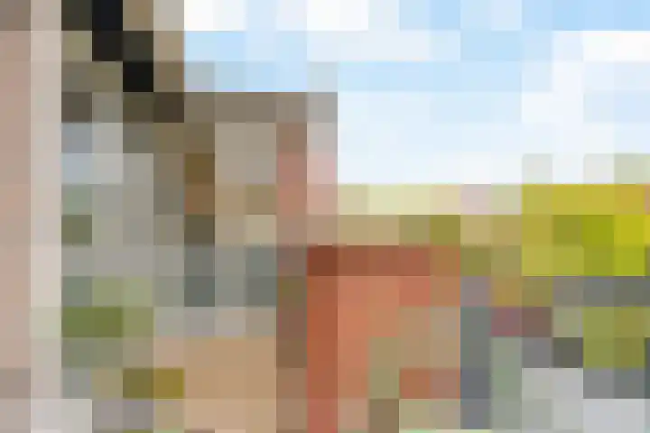 2e Octaviolaan 15 Capelle aan den IJssel thumbnail 20