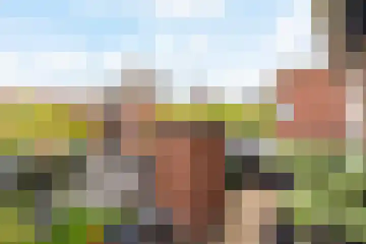 2e Octaviolaan 15 Capelle aan den IJssel thumbnail 4