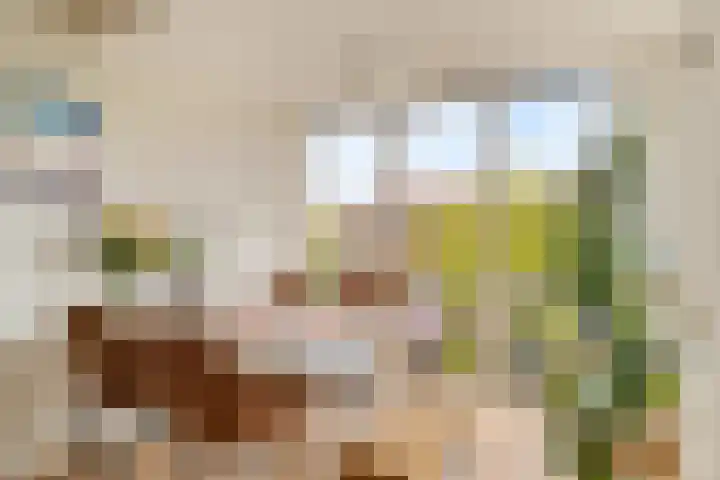 2e Octaviolaan 15 Capelle aan den IJssel thumbnail 6
