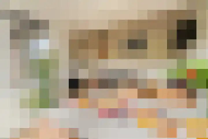 2e Octaviolaan 15 Capelle aan den IJssel thumbnail 7