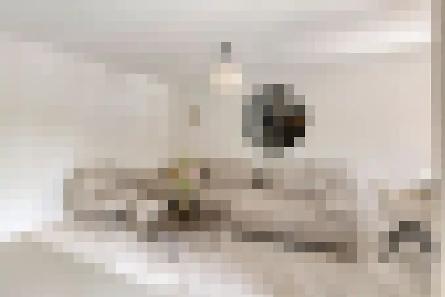 2e Octaviolaan 17 Capelle aan den IJssel thumbnail 12