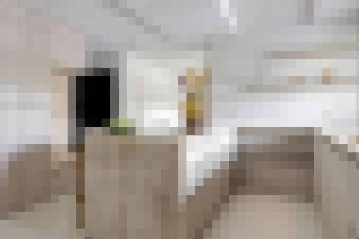 2e Octaviolaan 17 Capelle aan den IJssel thumbnail 15