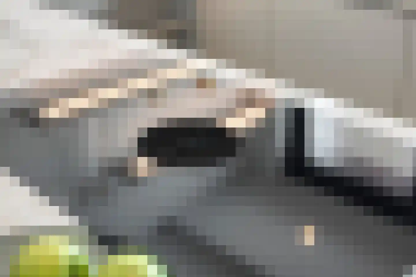 2e Octaviolaan 17 Capelle aan den IJssel thumbnail 18