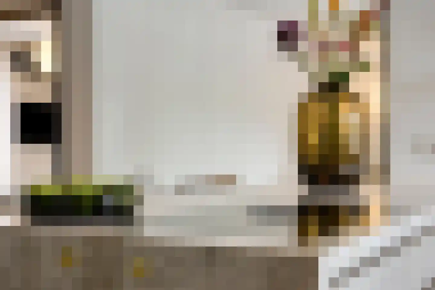 2e Octaviolaan 17 Capelle aan den IJssel thumbnail 19