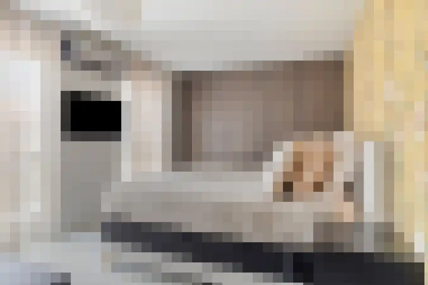 2e Octaviolaan 17 Capelle aan den IJssel thumbnail 24