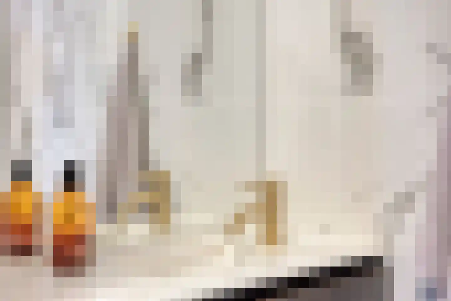2e Octaviolaan 17 Capelle aan den IJssel thumbnail 28