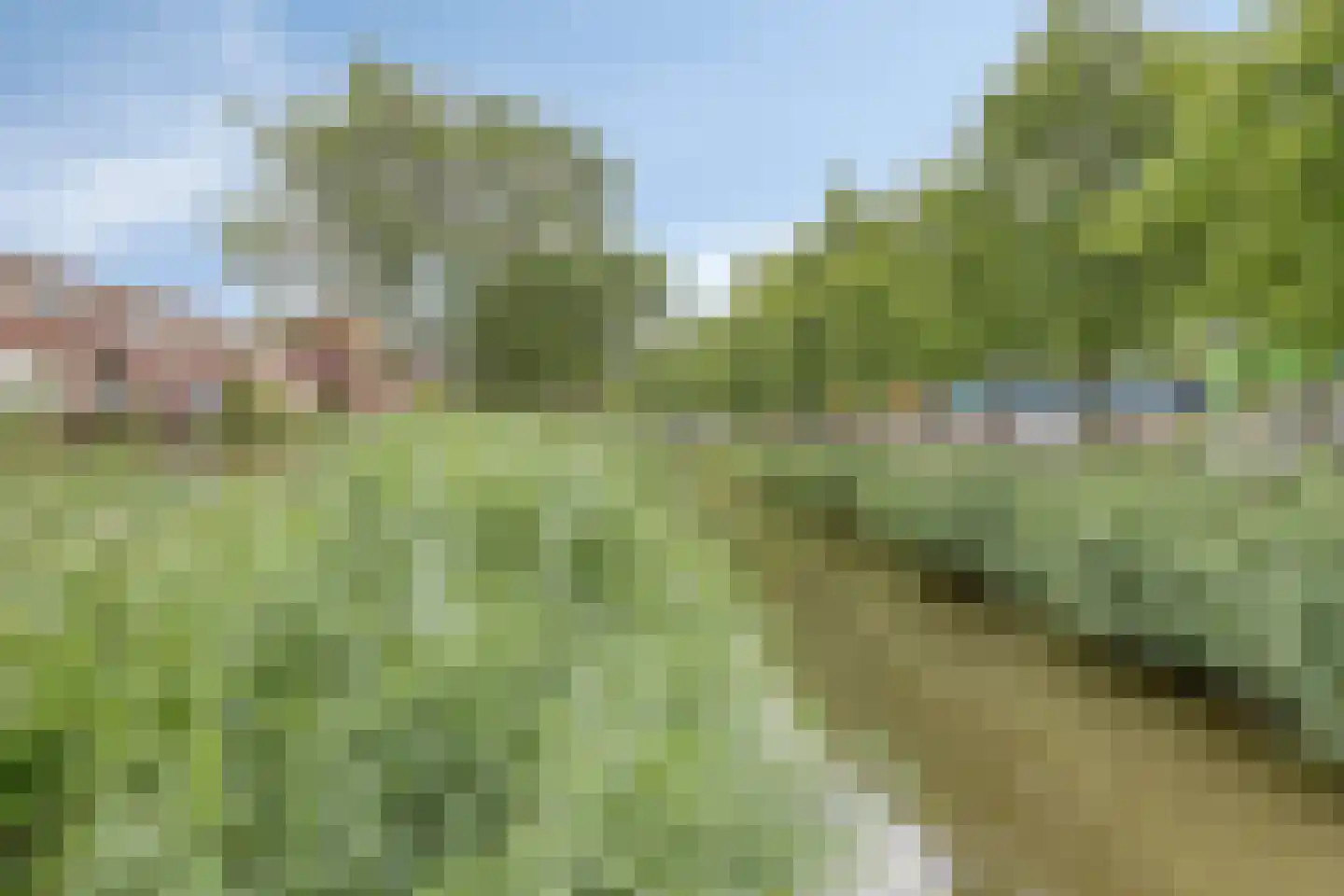 2e Octaviolaan 17 Capelle aan den IJssel thumbnail 34