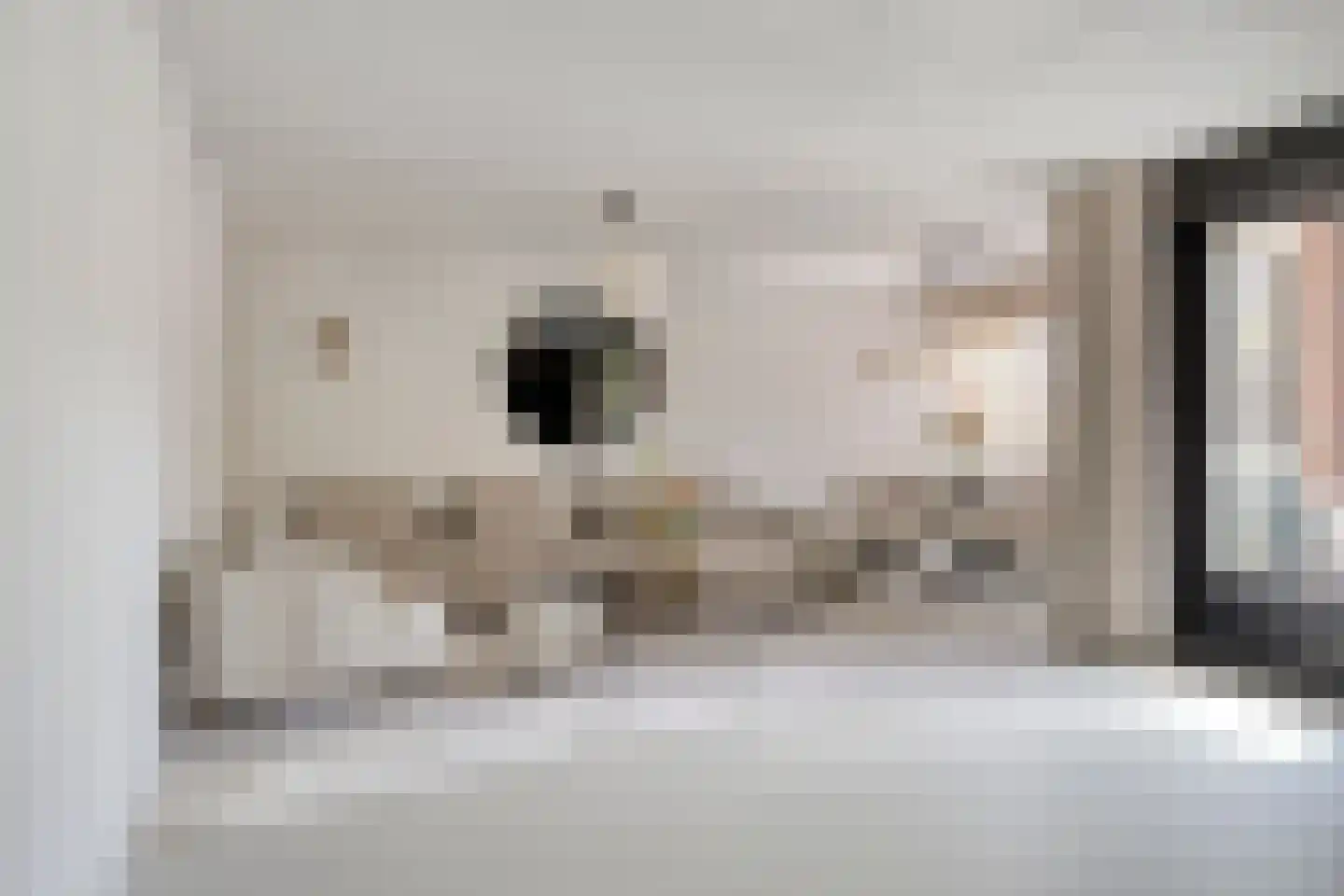 2e Octaviolaan 17 Capelle aan den IJssel thumbnail 8