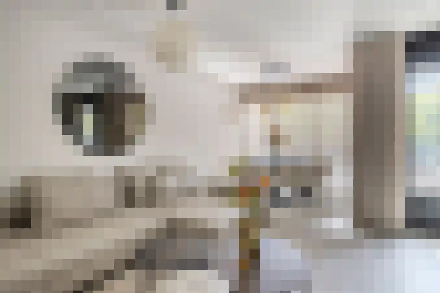 2e Octaviolaan 17 Capelle aan den IJssel thumbnail 9