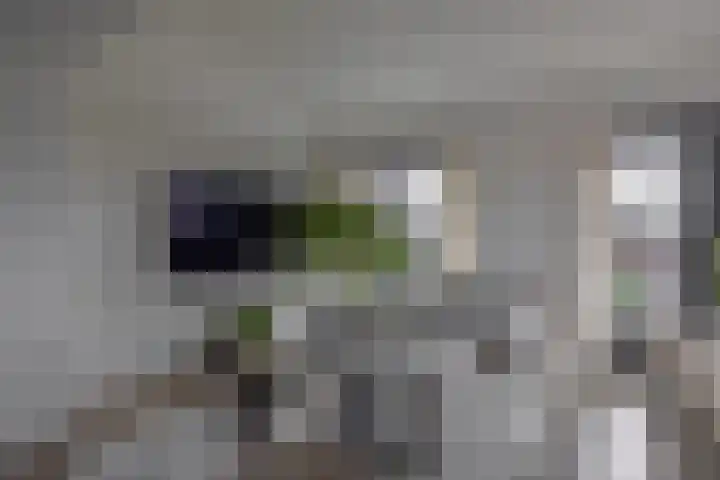2e Octaviolaan 18 Capelle aan den IJssel thumbnail 12