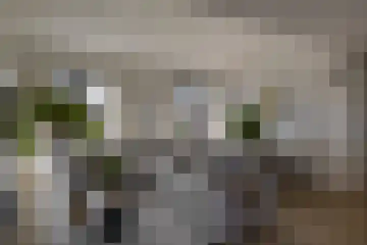 2e Octaviolaan 18 Capelle aan den IJssel thumbnail 13