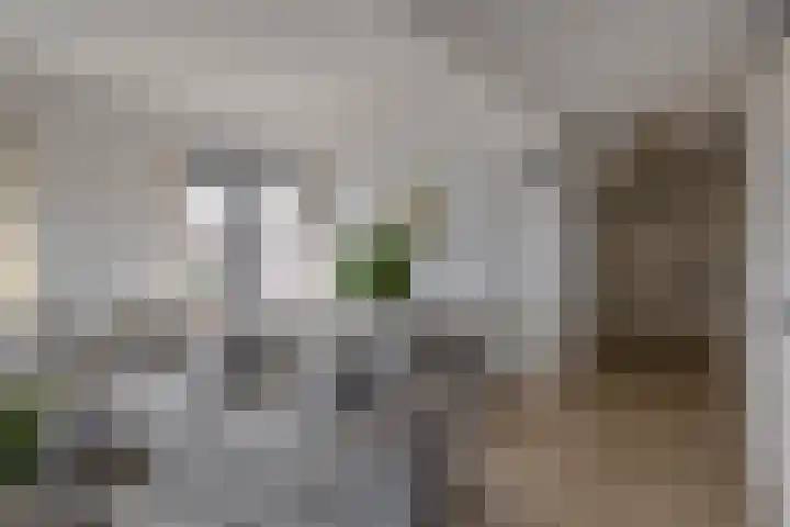 2e Octaviolaan 18 Capelle aan den IJssel thumbnail 14