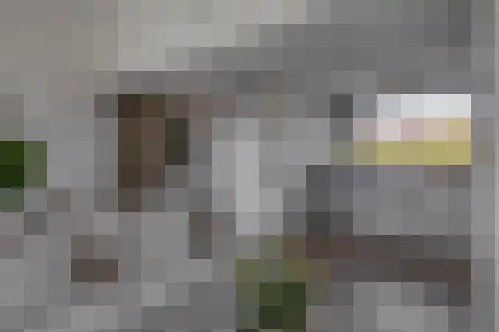 2e Octaviolaan 18 Capelle aan den IJssel thumbnail 15