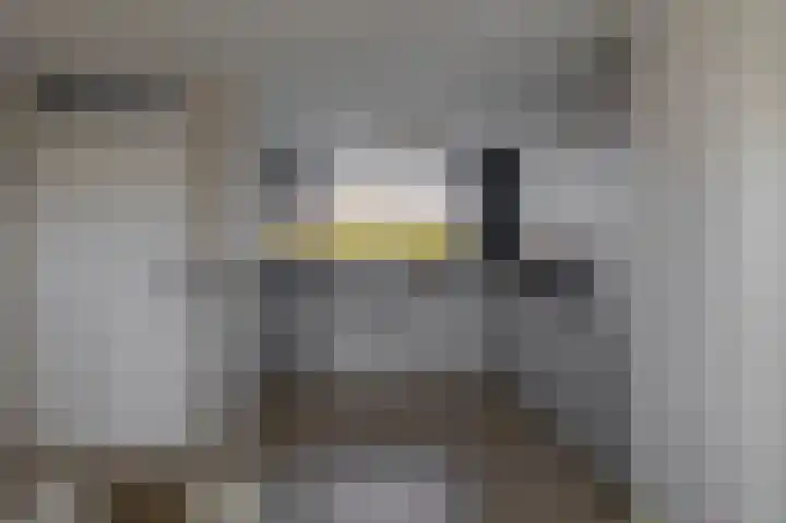 2e Octaviolaan 18 Capelle aan den IJssel thumbnail 16